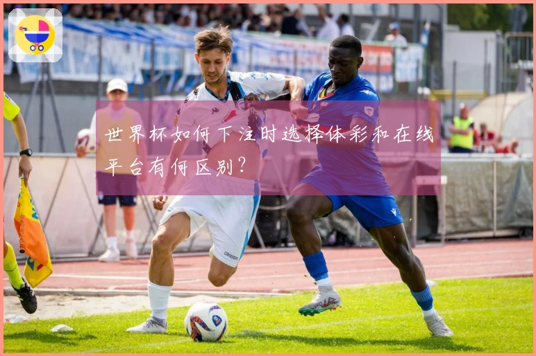 世界杯如何下注时选择体彩和在线平台有何区别？