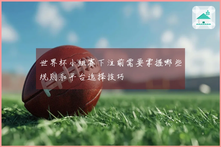 世界杯小组赛下注前需要掌握哪些规则和平台选择技巧