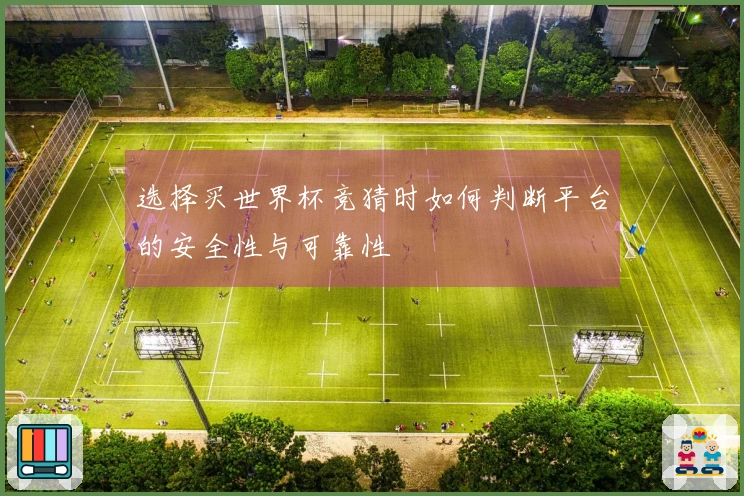 选择买世界杯竞猜时如何判断平台的安全性与可靠性