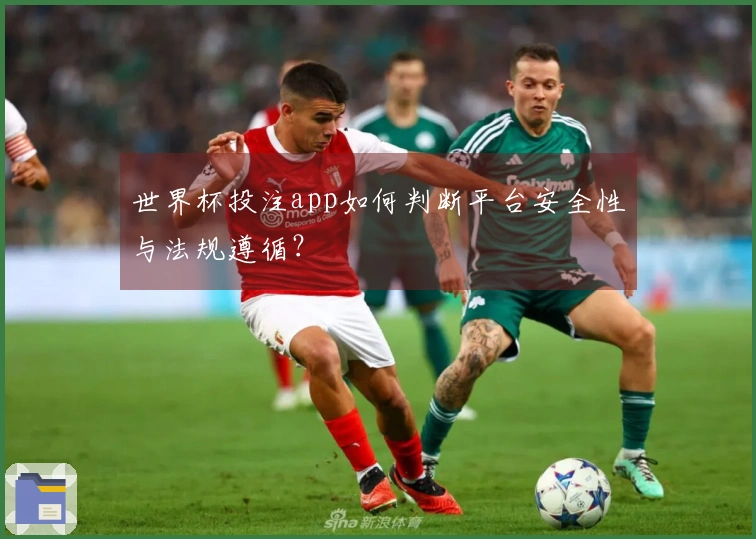 世界杯投注app如何判断平台安全性与法规遵循？