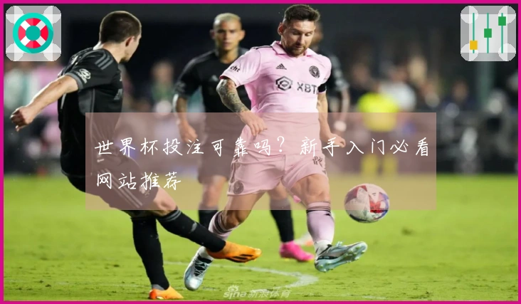 世界杯投注可靠吗？新手入门必看网站推荐