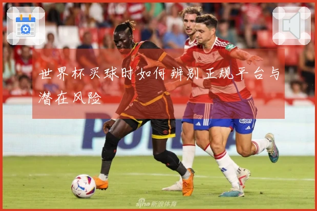 世界杯买球时如何辨别正规平台与潜在风险
