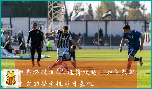 世界杯投注APP选择攻略：如何判断平台的安全性与可靠性