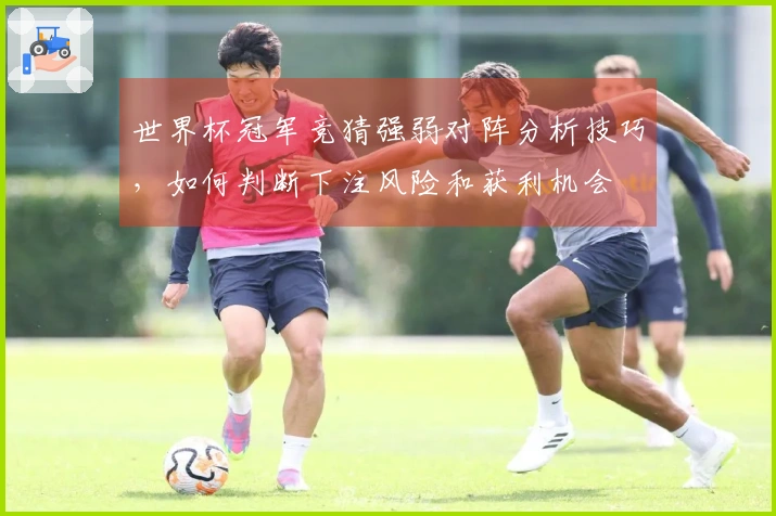 世界杯冠军竞猜强弱对阵分析技巧，如何判断下注风险和获利机会