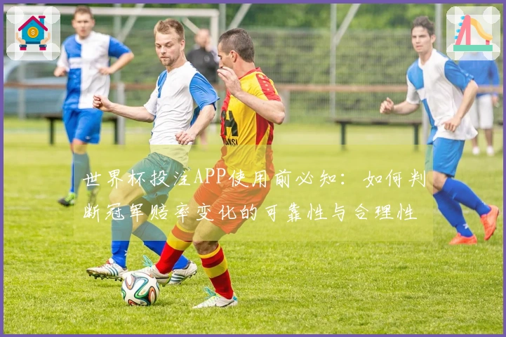 世界杯投注APP使用前必知：如何判断冠军赔率变化的可靠性与合理性