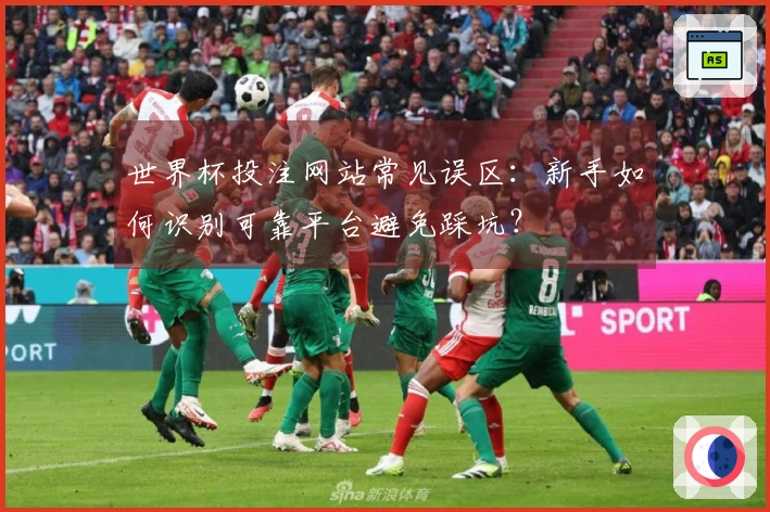 世界杯投注网站常见误区：新手如何识别可靠平台避免踩坑？