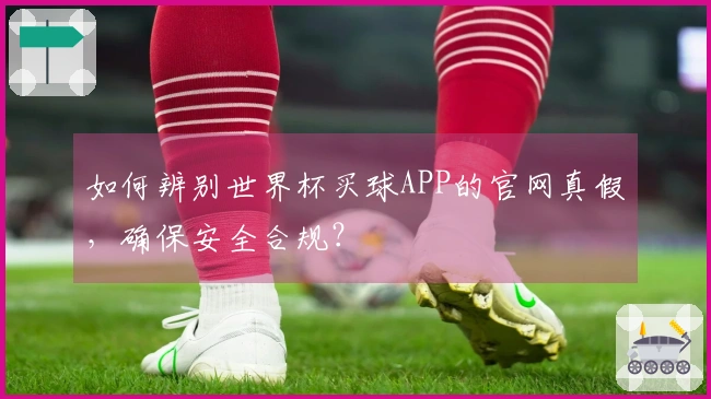 如何辨别世界杯买球APP的官网真假，确保安全合规？