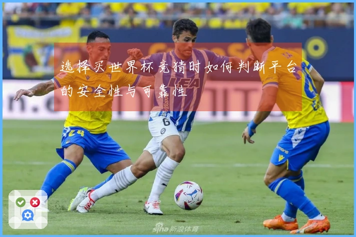 选择买世界杯竞猜时如何判断平台的安全性与可靠性