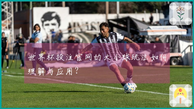 世界杯投注官网的大小球玩法如何理解与应用？