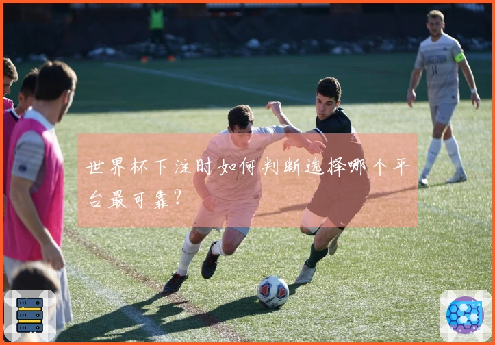 世界杯下注时如何判断选择哪个平台最可靠？