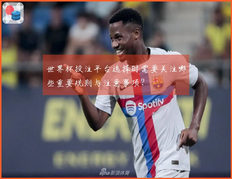 世界杯投注平台选择时需要关注哪些重要规则与注意事项？