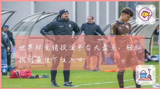 世界杯竞猜投注平台大盘点，轻松找到最佳下注入口