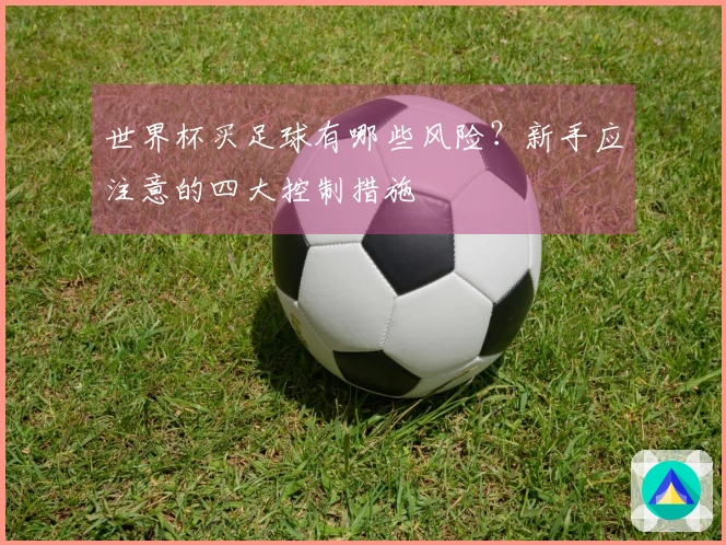 世界杯买足球有哪些风险？新手应注意的四大控制措施