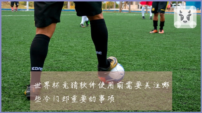 世界杯竞猜软件使用前需要关注哪些冷门却重要的事项