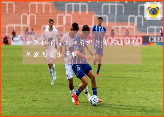 世界杯下注入口有哪些常见的风险及避免方法详解