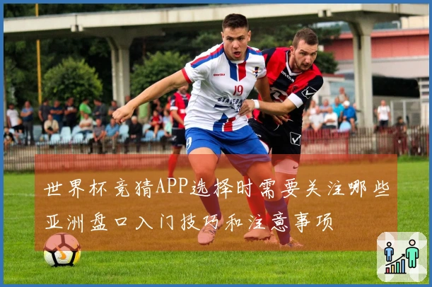 世界杯竞猜APP选择时需要关注哪些亚洲盘口入门技巧和注意事项