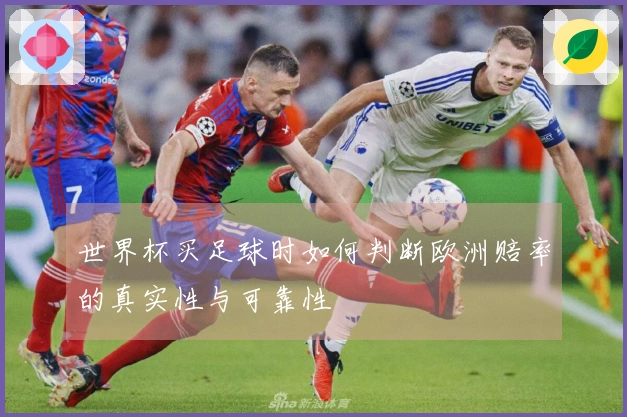 世界杯买足球时如何判断欧洲赔率的真实性与可靠性