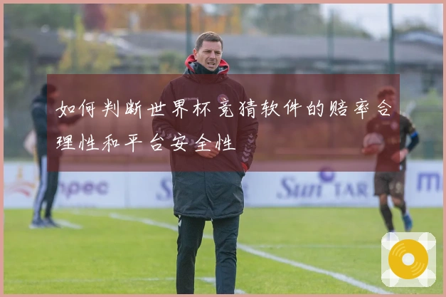 如何判断世界杯竞猜软件的赔率合理性和平台安全性