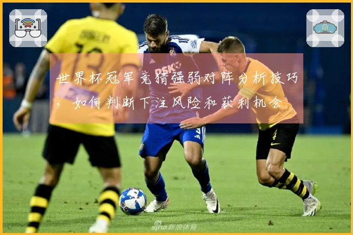 世界杯冠军竞猜强弱对阵分析技巧，如何判断下注风险和获利机会