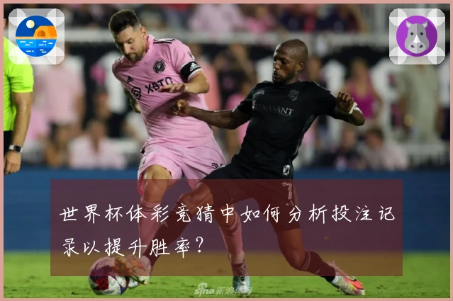 世界杯体彩竞猜中如何分析投注记录以提升胜率？