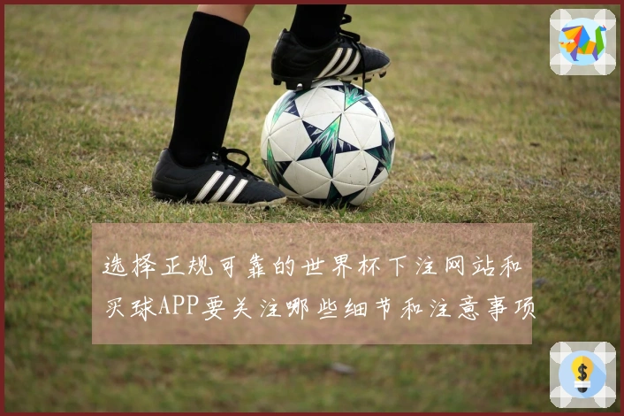 选择正规可靠的世界杯下注网站和买球APP要关注哪些细节和注意事项